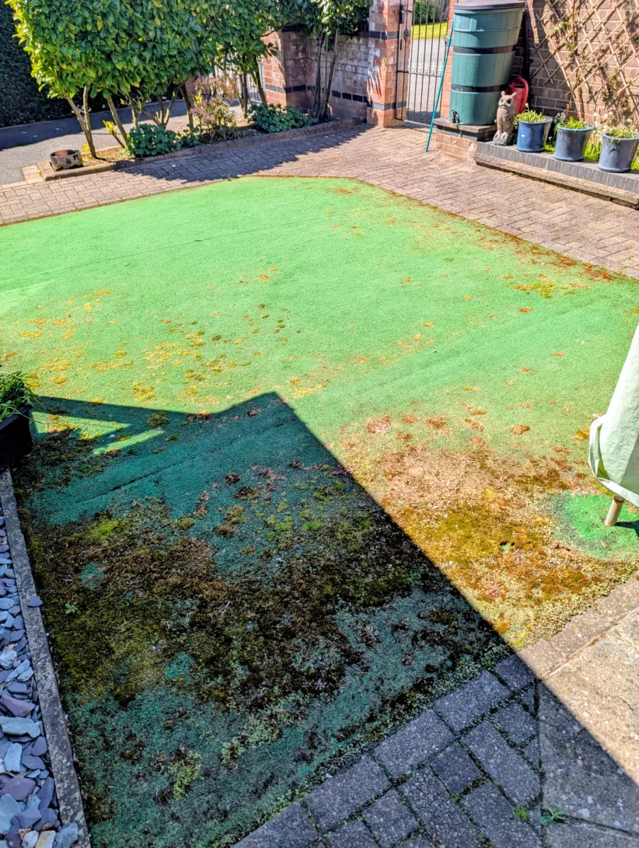 An artificial lawn with heavy organic build-up before cleaning
