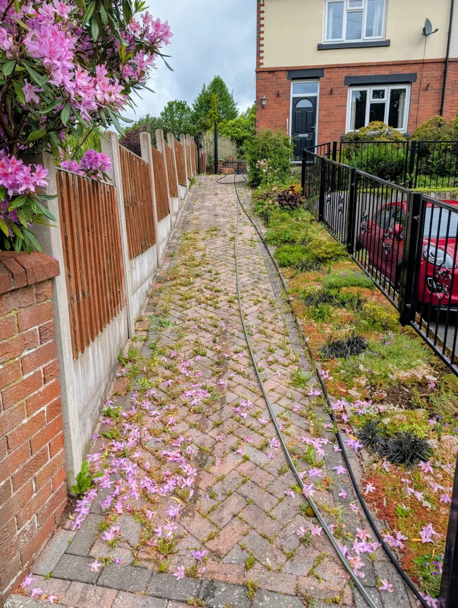 A long block-paved garden path before cleaning