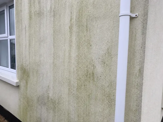 Close photograph showing green staining on a small section of exterior render.