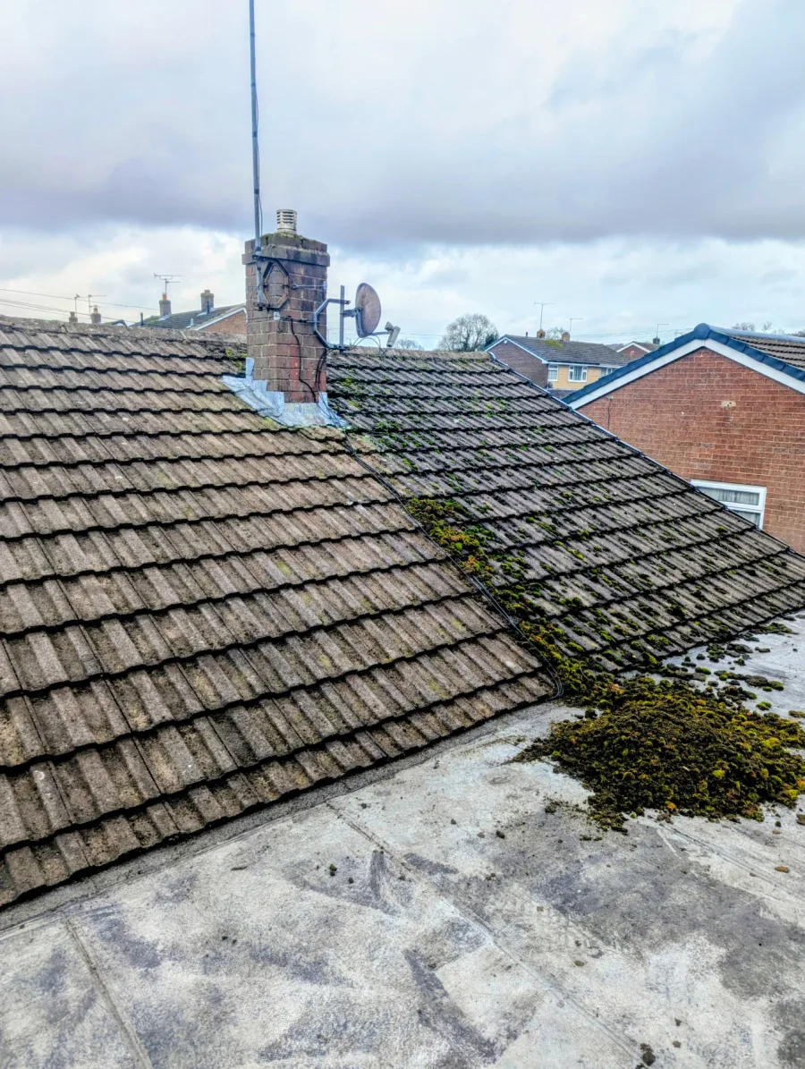 A wider view showing moss build-up across a tiled roof