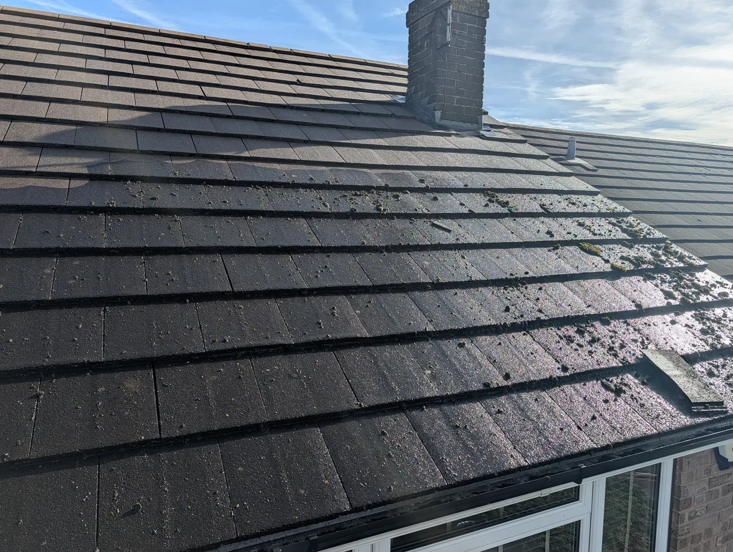 Close view of loosened moss and debris on the wet roof tiles during cleaning.
